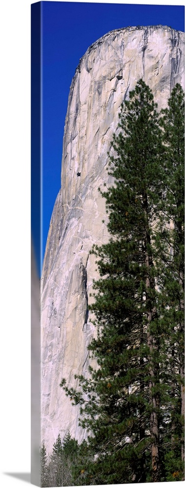 El Capitan Yosemite National Park CA
