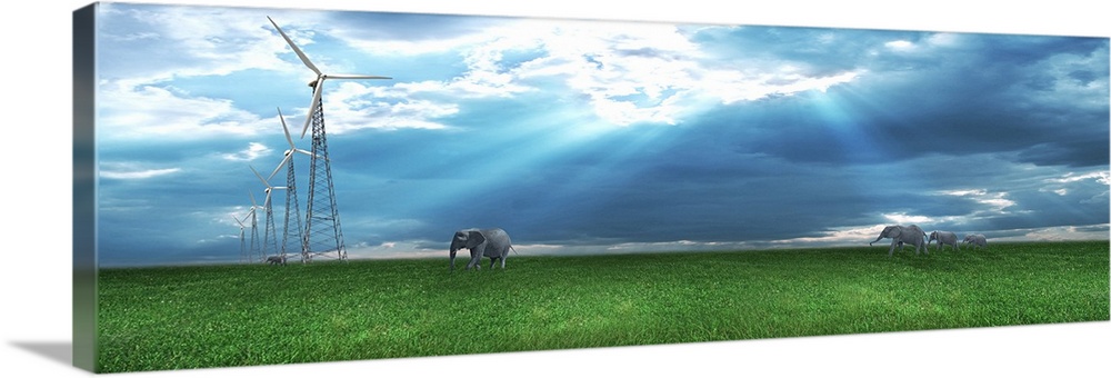 Elephants walking toward wind generators
