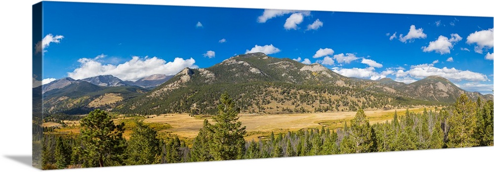 Elevated view of trees on landscape, West Horseshoe Park, Rocky Mountain National Park, Colorado, USA