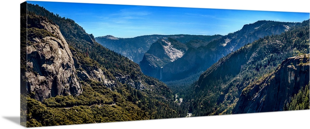 Elevated view of trees in a valley, Yosemite National Park, California, USA.