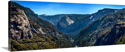 Elevated view of trees in a valley, Yosemite National Park, California