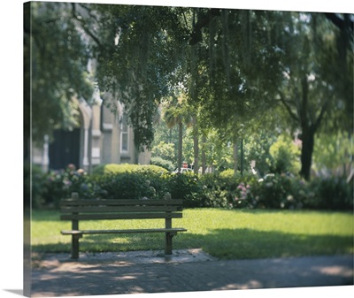 Empty bench in a park, Forsyth Park, Georgia