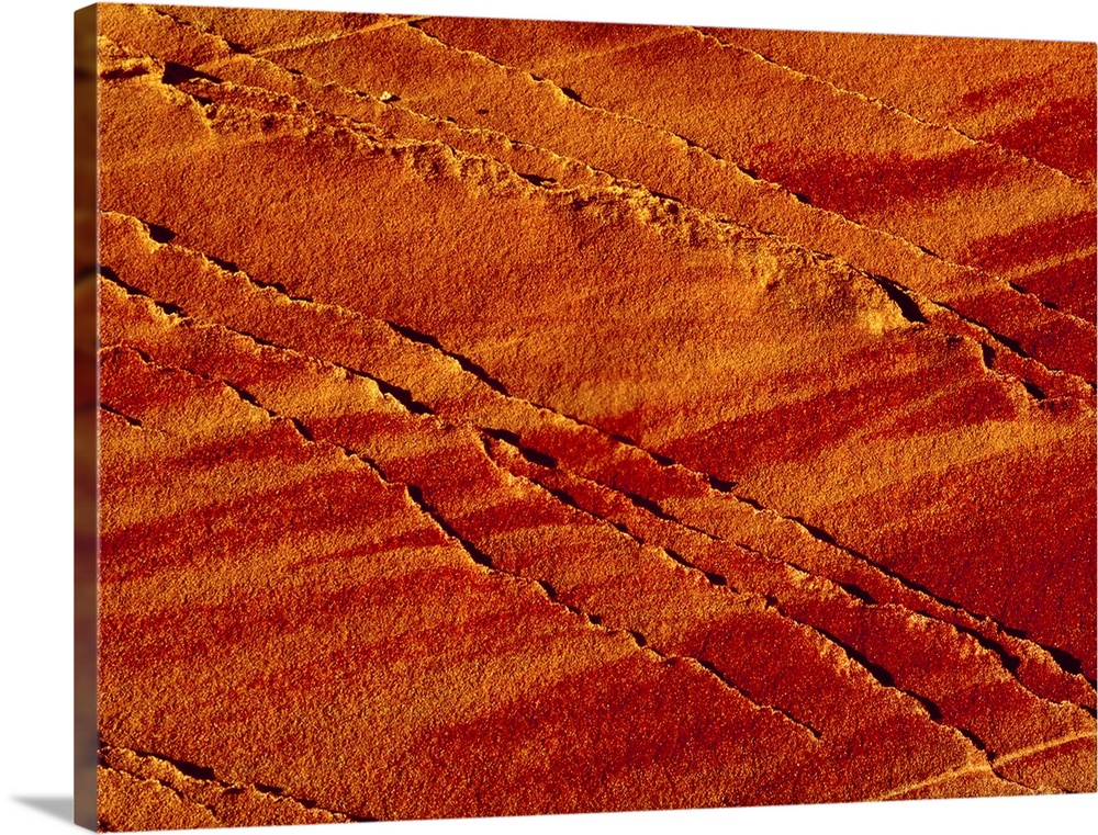 Oversized landscape photograph of the surface of a grainy rock with raised thin lines caused by erosion.