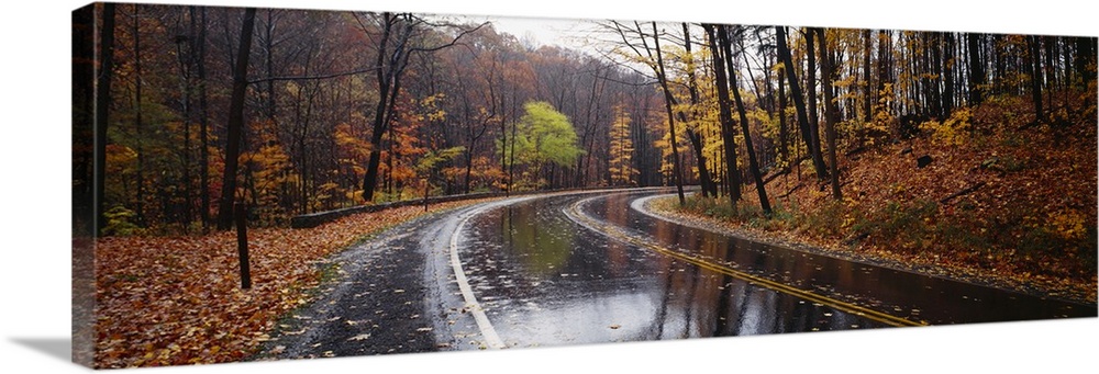 A two lane road passes through a hilly forest where the pavement glistens from recent rain, dotted with autumn leaves in t...