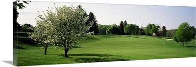 Fairway w\ 2 white Dogwood trees Baltimore Country Club Five Farms Course MD USA
