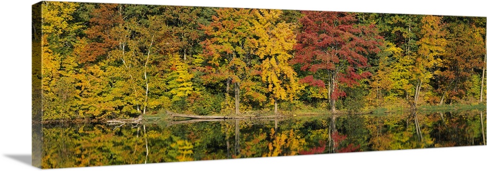 Fall Foliage Saratoga Springs NY Wall Art, Canvas Prints, Framed Prints ...