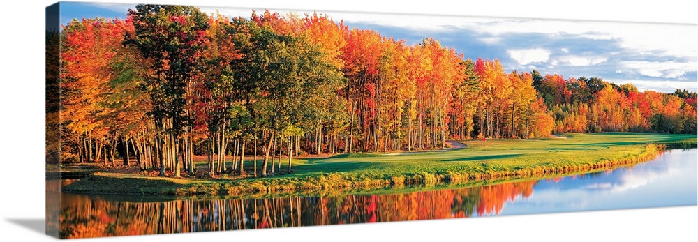 Wide angle photograph of a bright autumn tree line along the waters edge, on a golf course in New England.