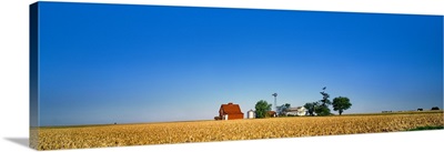 Farm Against Clear Sky, Illinois, USA