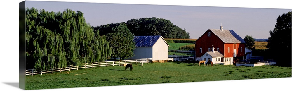 Farm land is photographed in panoramic view with large trees on either side of the barn and in the background.