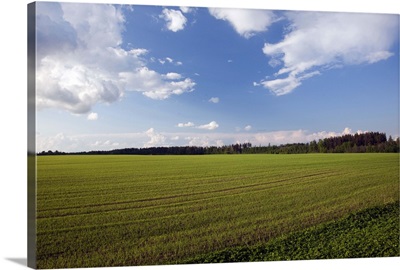 Farm field in springtime, Dikli, Gauja National Park, Vidzeme Region, Latvia