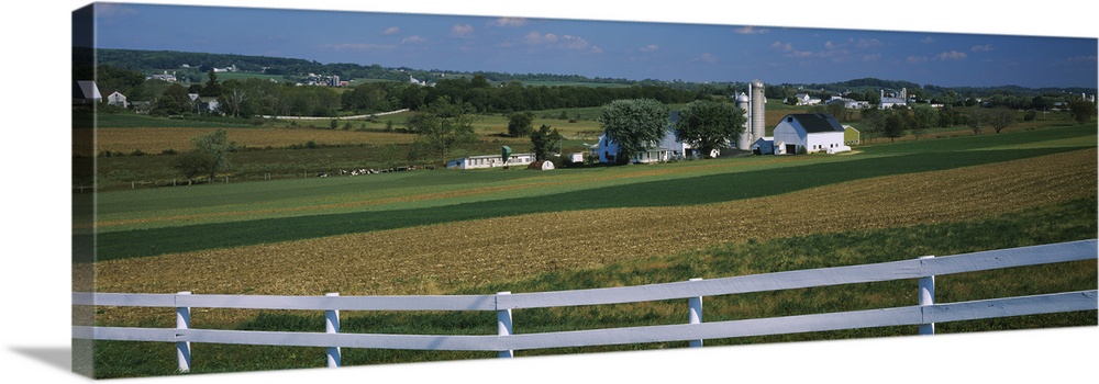 Farmhouse in a field, Amish Farms, Lancaster County, Pennsylvania