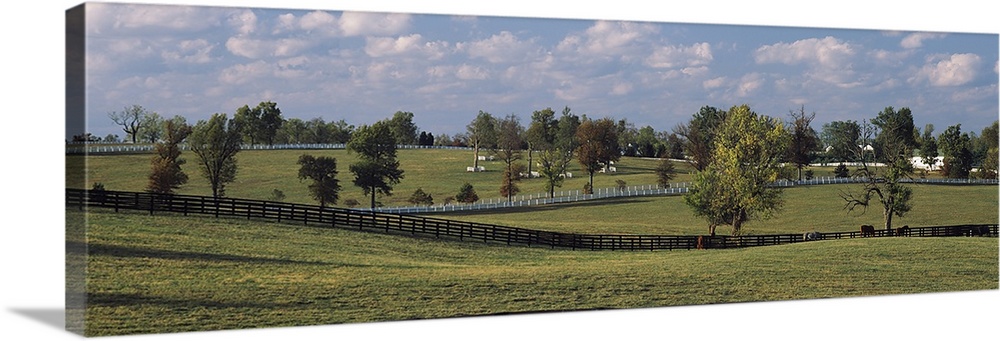 Horse pastures in Lexington KY. Horse pastures with white and black fences on the Blue Grass Tour in Lexington, KY.