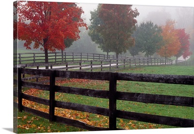 Fenceline and wet road, autumn color trees in mist, Maryland