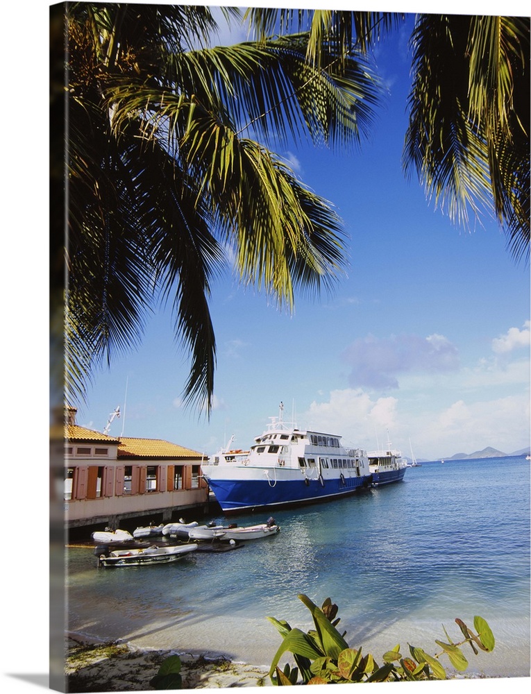 A passenger boat is docked along a pier in the Caribbean. Palm trees on a beach hang over the top of the picture.