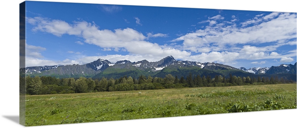 Field with a mountain range in the background, Kenai Peninsula, Seward, Alaska, USA