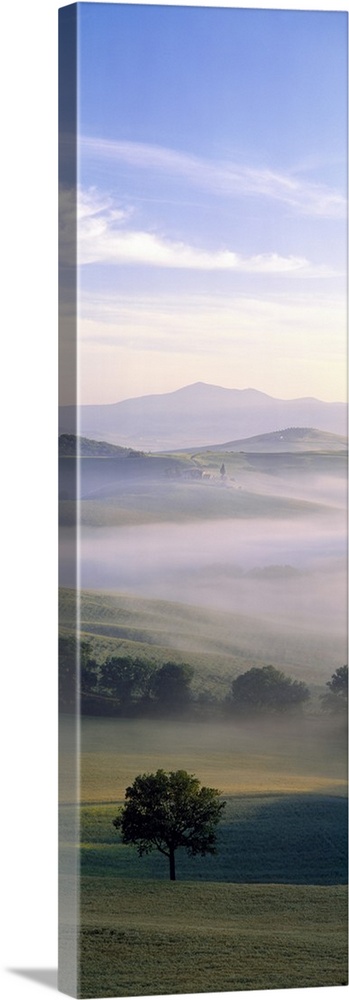 Oversized, vertical photograph of a foggy field of hills and trees, mountains in the background beneath a blue sky, in Tus...
