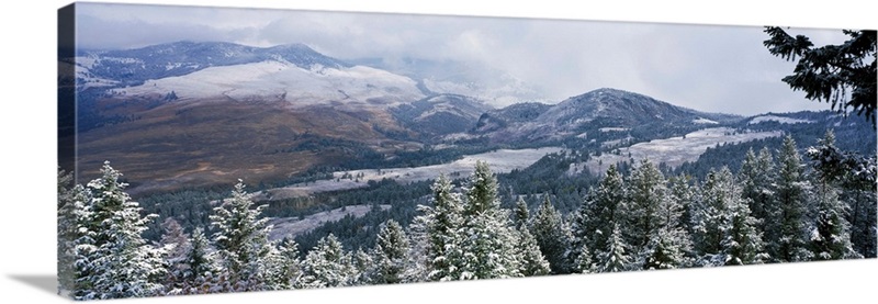 First Snow Yellowstone National Park WY | Great Big Canvas