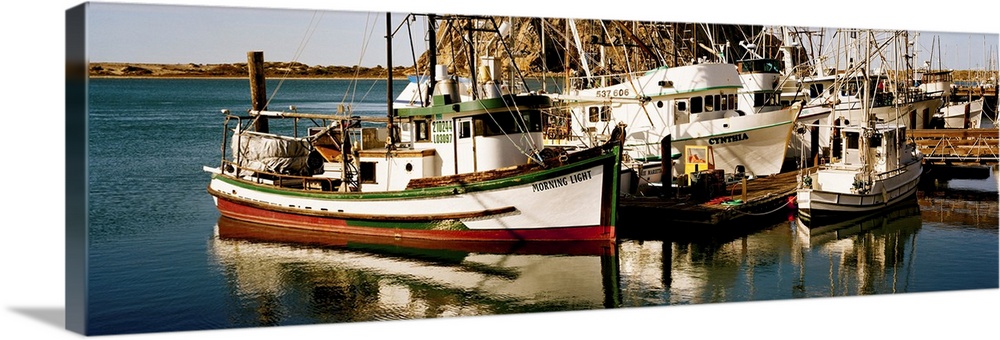 Fishing boats in the sea, Morro Bay, San Luis Obispo County, California, USA