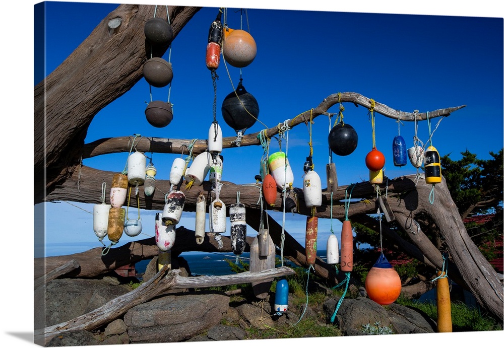 Floats hanging on a tree, Battery Point Lighthouse, Crescent City, California, USA