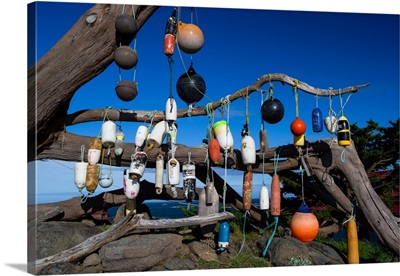 Floats hanging on a tree, Battery Point Lighthouse, Crescent City, California