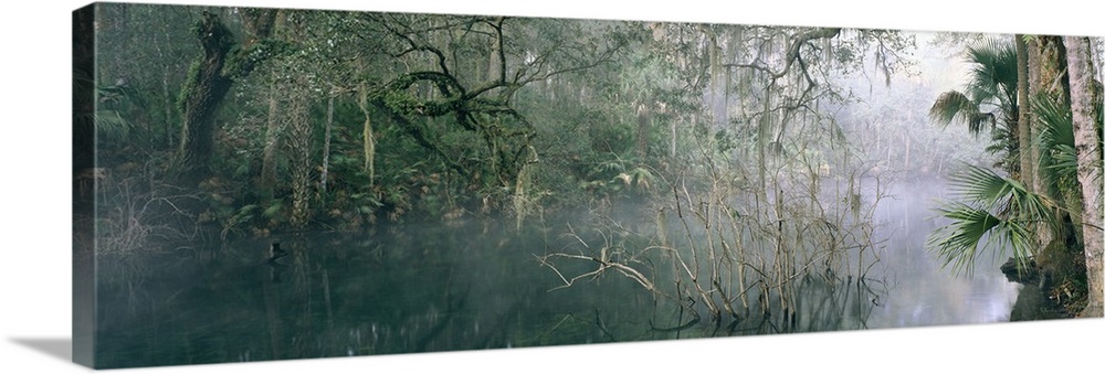 Florida, Blue Springs State Park, View of mist over a lake in the wilderness