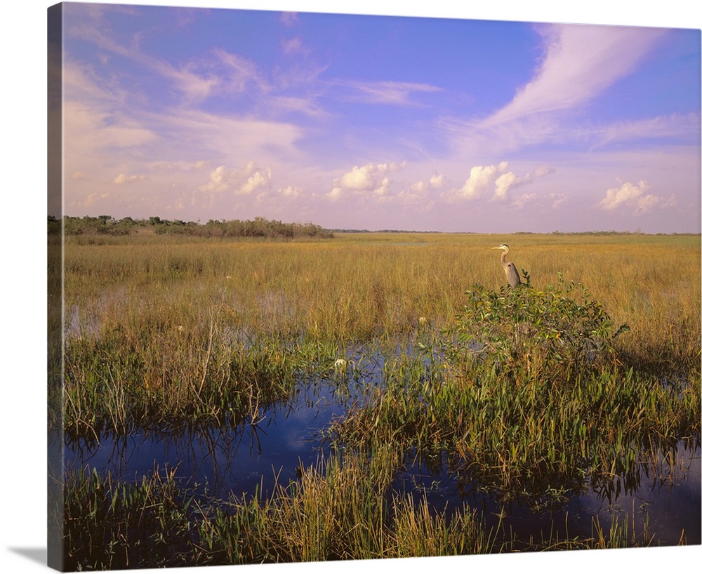 Florida, Everglades National Park