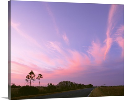 Florida, Everglades National Park, Mahogany Hammock, Highway through the national park