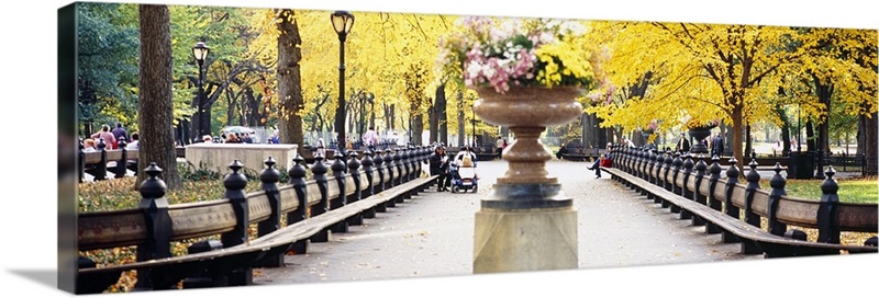 Flower pot on a walkway, Central Park, Manhattan, New York City, New ...