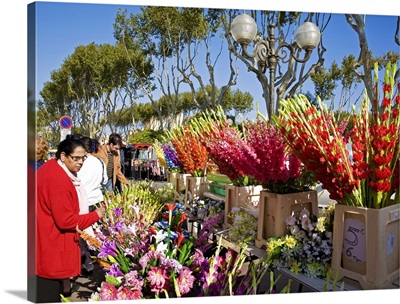 Flower sellers at the Market, Narbonne, Languedoc Roussillon, France
