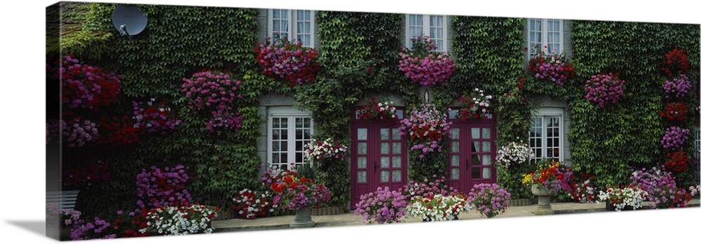 A French cottage garden home covered in flowers and greenery.