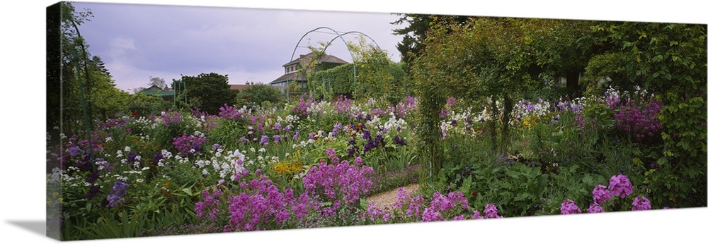 Panoramic picture taken of a thick garden that is filled with green foliage and purple and white flowers.