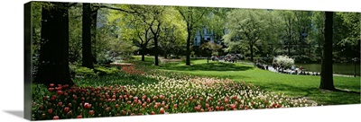 Flowers in a park, Central Park, Manhattan, New York City, New York State