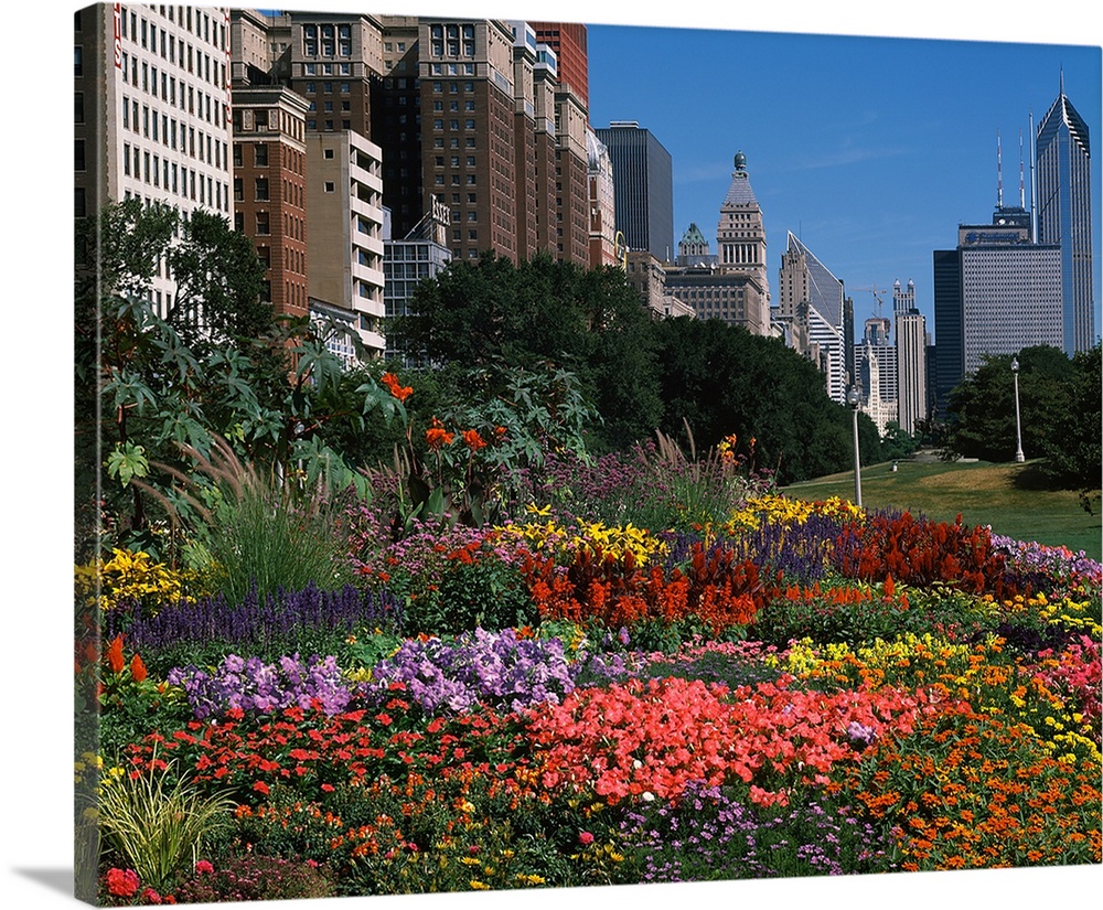 A variety of flowers are photographed closely with a city skyline in the background.