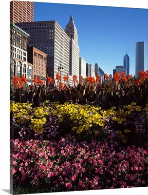 Flowers in a park, Grant Park, Michigan Avenue, Chicago, Cook County, Illinois,