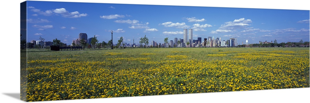 Flowers in a park with buildings in the background Manhattan New York City New York State