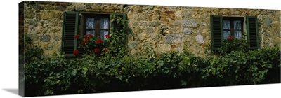 Flowers on a window, Monteriggioni, Tuscany, Italy