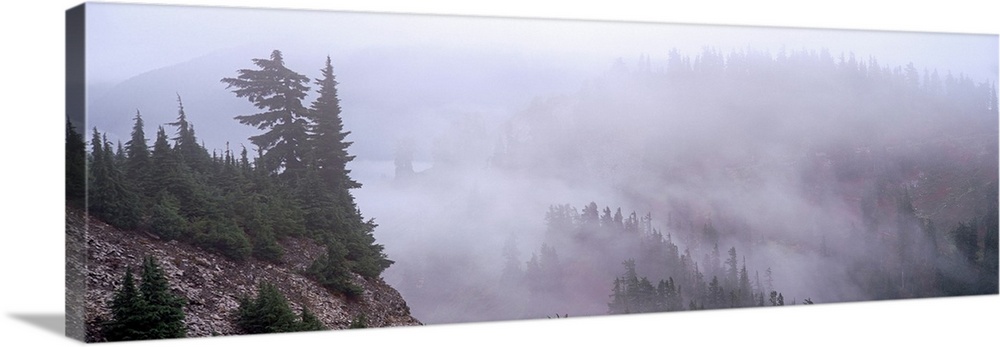 Fog Cascade Mountains WA