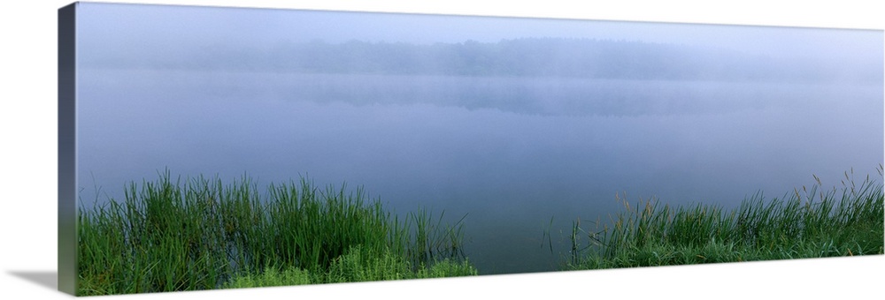 Fog over a lake, Herrington Manor State Park, Maryland