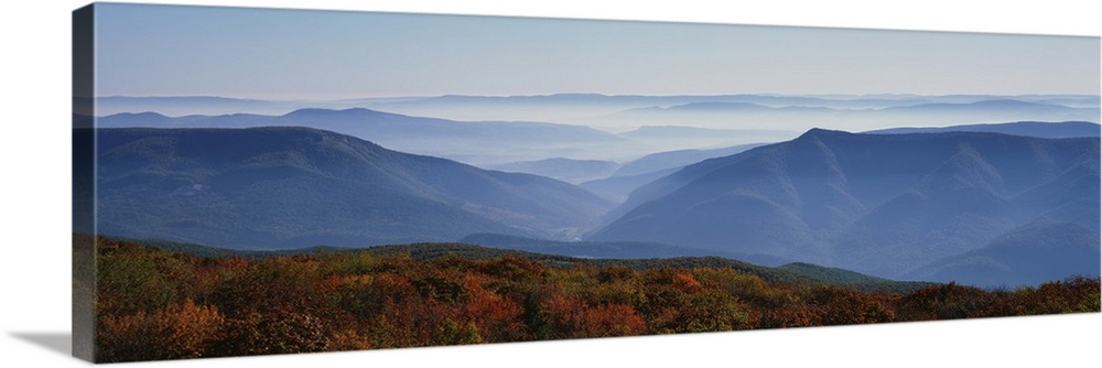 Panoramic photograph overlooking a wooded valley full of mist in the early morning in the Southern United States.