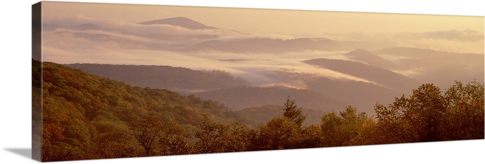 View from the Blue Ridge Parkway of a foggy sunrise over a mountain range in North Carolina.