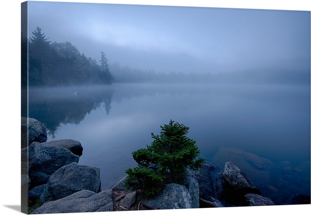 Fog over pond at sunrise, Copperas Pond, Adirondack Mountains State Park, New York State, USA