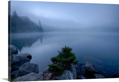 Fog over pond at sunrise, Copperas Pond, Adirondack Mountains State Park, New York State