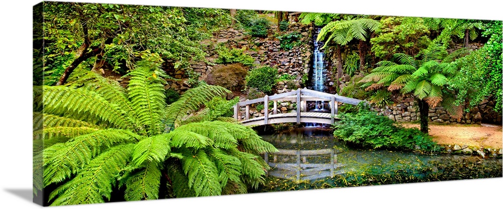 Footbridge and waterfall in a forest, Dandenong Forest, Melbourne, Victoria, Australia.