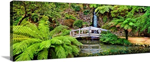 Footbridge and waterfall in a forest, Dandenong Forest, Melbourne, Victoria, Australia image thumbnail