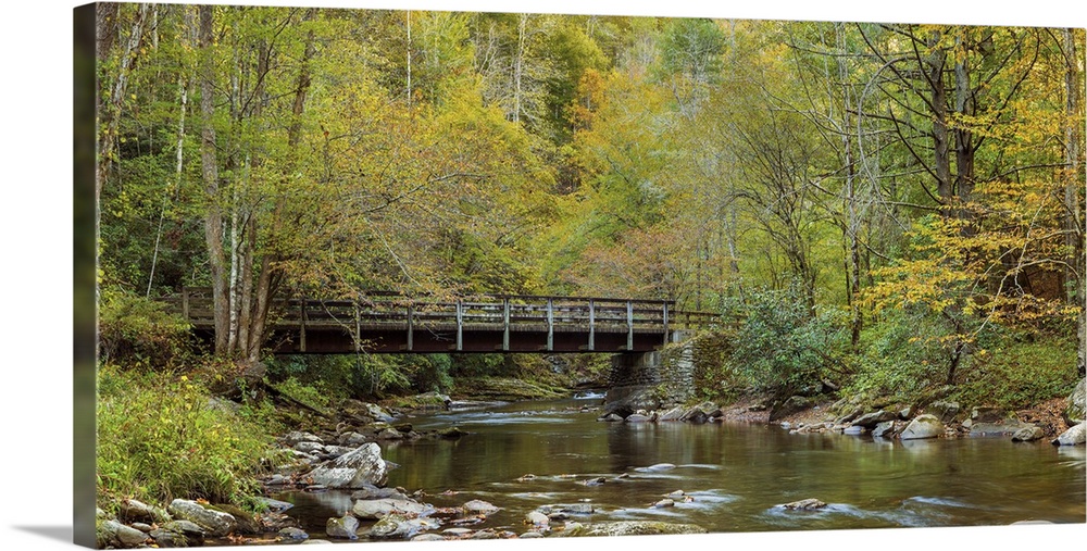 Footbridge over a creek in a forest, Deep Creek, Great Smoky Mountains National Park, North Carolina, USA.