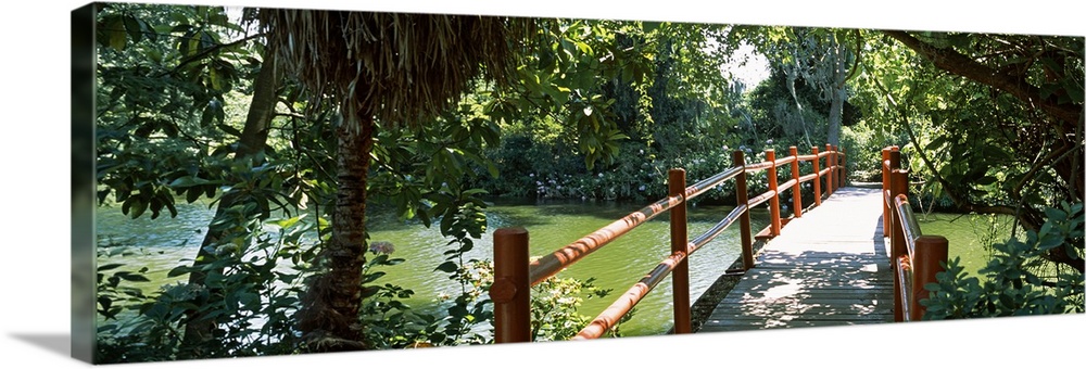 Footbridge over a swamp, Magnolia Plantation and Gardens, Charleston, Charleston County, South Carolina