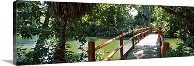 Footbridge over a swamp, Magnolia Plantation and Gardens, Charleston, Charleston County, South Carolina