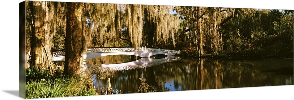 Footbridge over swamp, Magnolia Plantation And Gardens, Charleston, South Carolina