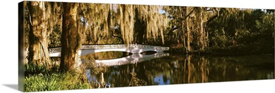 Footbridge over swamp, Magnolia Plantation And Gardens, Charleston, South Carolina
