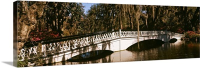 Footbridge over swamp, Magnolia Plantation And Gardens, Charleston, South Carolina